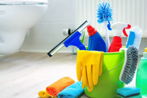 Messie Reinigung Laatzen