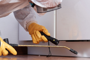 Messie Schädlingsbekämpfung Laatzen